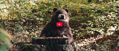 YouTube-Video "Kraftclub: Wie ich"