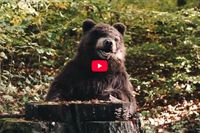 YouTube video "Kraftclub: Wie ich"